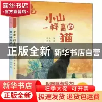 正版 小山与猫(共2册)(精) 孙悦 现代出版社 9787514388473 书籍
