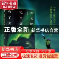 正版 看见你,心里就有了光:环球极光攻略 黄莉娜 金城出版社 97