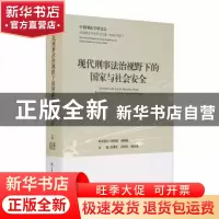 正版 现代刑事法治视野下的国家与社会安全(2020年度全国刑法学术