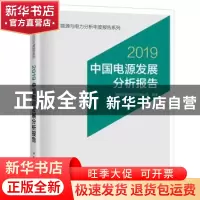 正版 中国电源发展分析报告:2019 国网能源研究院有限公司 中国电