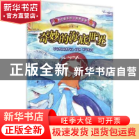 正版 奇妙的海底世界 小乖绘 北京理工大学出版社 9787568220385