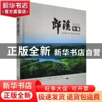 正版 郎溪年鉴:2017 郎溪县档案局(地方志办公室) 黄山书社 97875