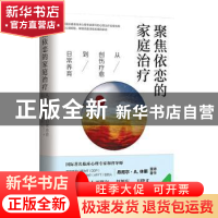 正版 聚焦依恋的家庭治疗:从创伤疗愈到日常养育 (美)丹尼尔·A.