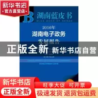 正版 2016年湖南电子政务发展报告 梁志峰 主编 社会科学文献出