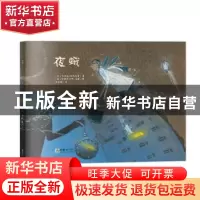 正版 夜蛾 佩特拉·施德克曼 朝华出版社 9787505444744 书籍