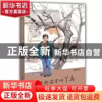 正版 我的名字叫丫头 刘玉栋著 山东教育出版社 9787532892075 书