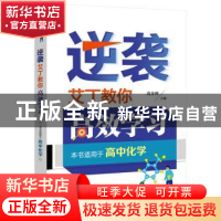 正版 逆袭 艾丁教你高效学习 高东辉 电子工业出版社 978712136