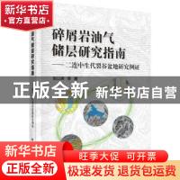 正版 碎屑岩油气储层研究指南:二连中生裂谷篇盆地研究例证 张以