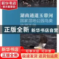 正版 湖南通道玉带河国家湿地公园鸟类监测手册 张志强,曾垂亮,陆