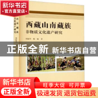 正版 西藏山南藏族非物质文化遗产研究 周毓华,杨娅 文化艺术出版