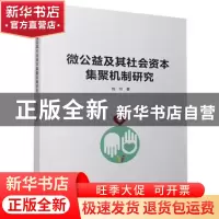 正版 微公益及其社会资本集聚机制研究 钱玲 九州出版社 97875108