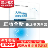 正版 大学计算机基础实训教程 朱正国 科学出版社 9787030611345