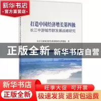 正版 打造中国经济增长第四极:长江中游城市群发展战略研究 本书