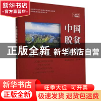 正版 中国脱贫攻坚 龙州故事 国务院扶贫办 研究出版社 9787519