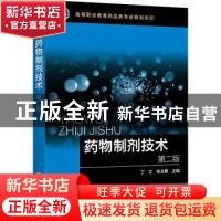 正版 药物制剂技术 丁立,邹玉繁 化学工业出版社 9787122356932