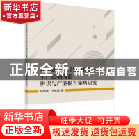 正版 我国致密气开发项目的生产影响因素辩识与产能提升策略研究