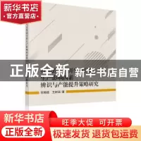 正版 我国致密气开发项目的生产影响因素辩识与产能提升策略研究