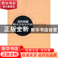 正版 当代中国媒介文化生产的体系性嬗变 王敏芝 著 人民出版社
