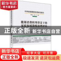 正版 能源消费转型背景下的家庭取暖散煤治理评估 谢伦裕 等 科
