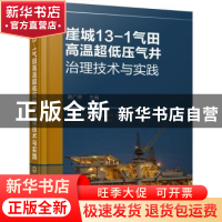 正版 崖城13-1气田高温超低压气井治理技术与实践 唐广荣 主编 化