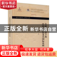 正版 全球化背景下的中国新移民及其国际比较 张小欣 暨南大学出