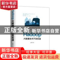 正版 HADOOP大数据技术开发实战 张伟洋 清华大学出版社 9787302
