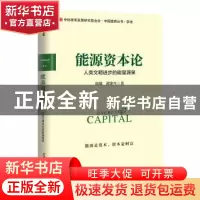 正版 能源资本论:人类文明进步的能量源泉 殷雄,谭建生 中信出版
