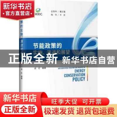 正版 节能政策的实施、演进和展望 胡红 编著 中国发展出版社 978