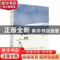 正版 心映山峦:王纯信长白山非物质文化遗产田野笔记 王纯信 知