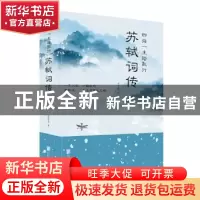 正版 四海一生踏歌行(苏轼词传) 仗剑天涯 北京联合出版公司 9787