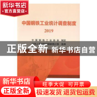 正版 中国钢铁工业统计调查制度 2019 中国钢铁工业协会 冶金工业