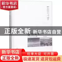 正版 诗性解蔽:此岸烛照与彼岸原乡:文学湘军的个性追求 聂茂 中