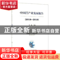 正版 中国IT产业发展报告:2018-2019:2018-2019 李颖 社会科学文