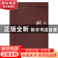 正版 中国艺术研究院艺术家系列:骆芃芃 连辑主编 文化艺术出版社