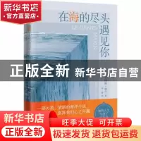 正版 在海的尽头遇见你 (法)卡特琳·普兰著 人民文学出版社 97870