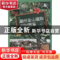 正版 潮州金山植物识别图鉴 陈蔚辉,陈文丽主编 暨南大学出版社