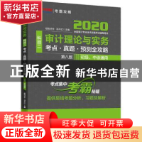 正版 审计理论与实务科目二考点·真题·预测全攻略 欧阳华生 中国