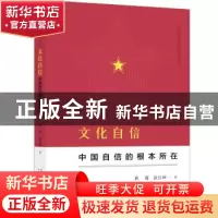 正版 文化自信:中国自信的根本所在 耿超,徐目坤著 广西师范大学