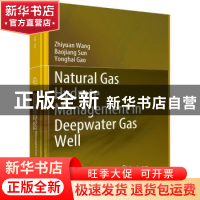正版 深水气井天然气水合物防治理论与技术研究(英文版) 王志远