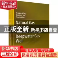 正版 深水气井天然气水合物防治理论与技术研究(英文版) 王志远