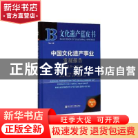 正版 中国文化遗产事业发展报告:2018-2019:2018-2019 苏杨 社会