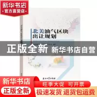 正版 北美油气区块出让规划 自然资源部油气资源战略研究中心 石