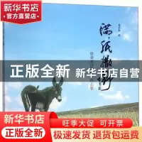 正版 满纸撒野:敖荣春诗歌摄影作品集 敖荣春 新世界出版社 97875