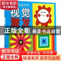 正版 视觉激发:彩色卡:6-18个月 南京合谷科技信息技术有限公司[