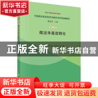 正版 煤洁净高效转化 谢克昌,田亚峻,何永德等著 科学出版社 97