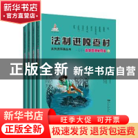 正版 法制进嘎查村系列连环画丛书:治安管理处罚法(全6册) 《法