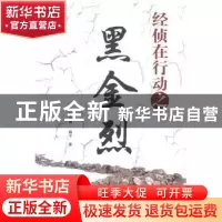 正版 经侦在行动之黑金烈 朱恩涛,杨子著 群众出版社 9787501452