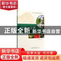正版 中国元宝枫生物学特性与栽培技术 王性炎 中国林业出版社 97