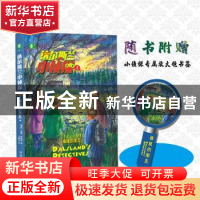 正版 达尔斯兰小侦探1:神秘的朋友 皮娅·哈格玛 上海文艺出版社
