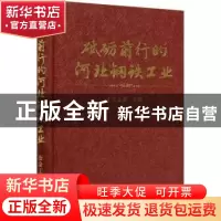 正版 砥砺前行的河北钢铁工业 王大勇 冶金工业出版社 9787502486